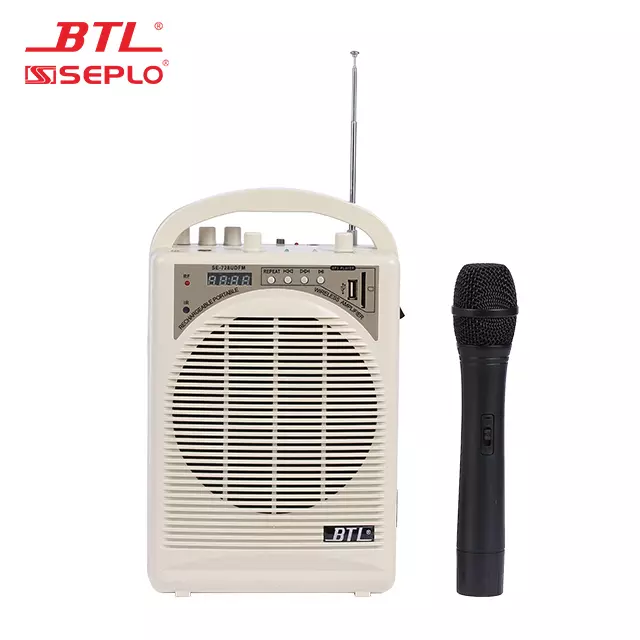 Rechargeable portable teaching microphone professional audio amplifier