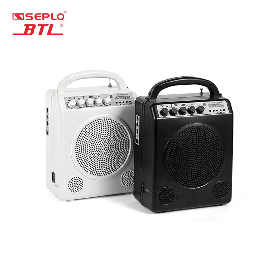 Btl portable wireless pa 2024 amplifier