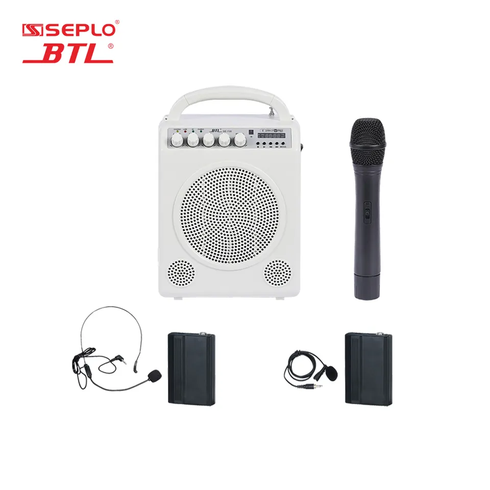 Portable pa amplifier professional system with microphone