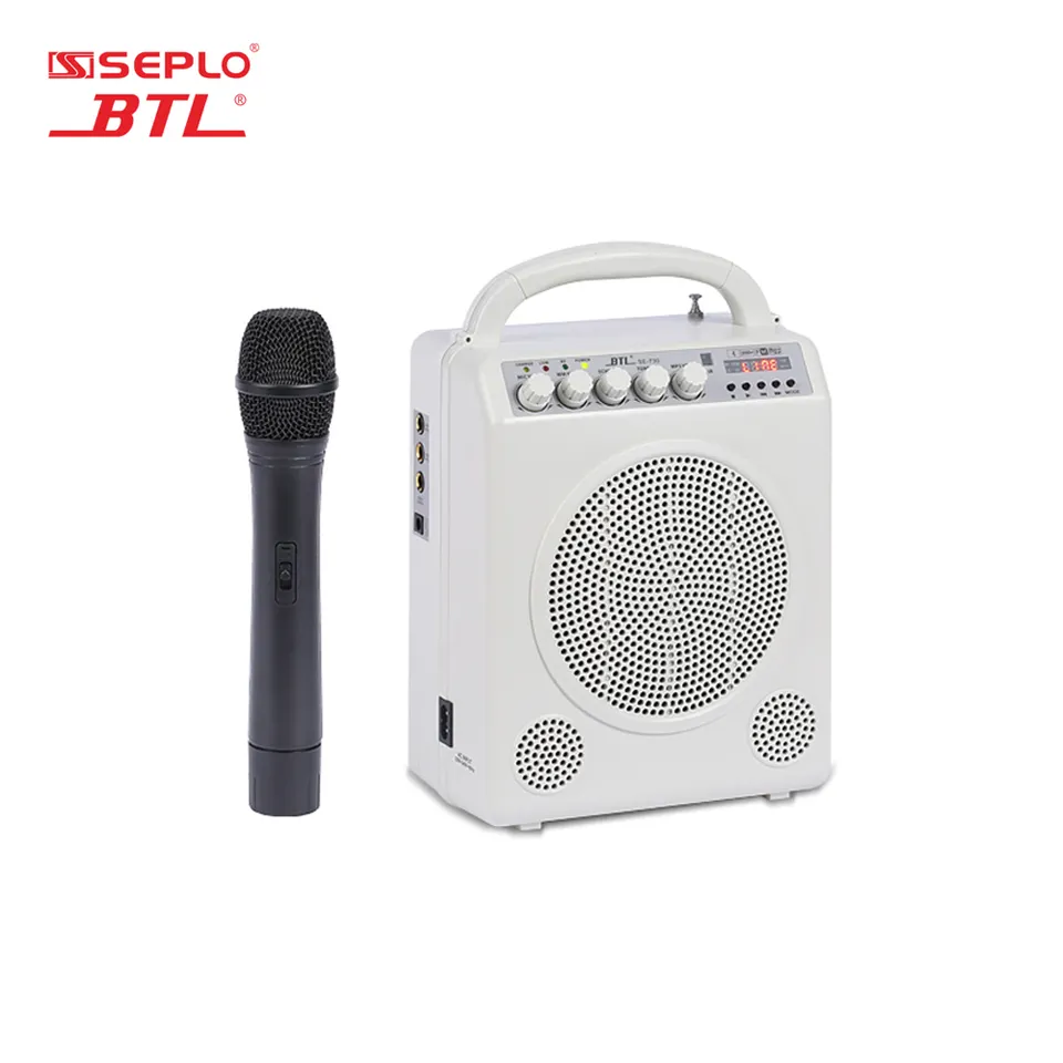 Portable pa amplifier professional system with microphone